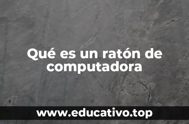 Qué es un ratón de computadora
