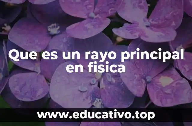 Que es un rayo principal en fisica