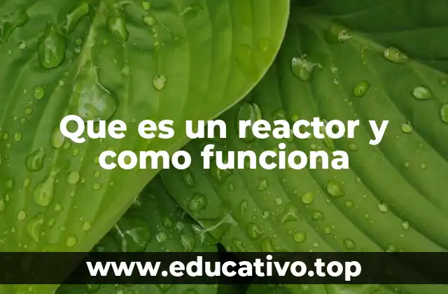 Que es un reactor y como funciona