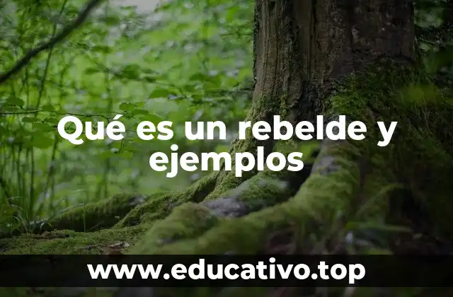 Qué es un rebelde y ejemplos