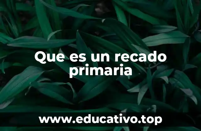 Que es un recado primaria