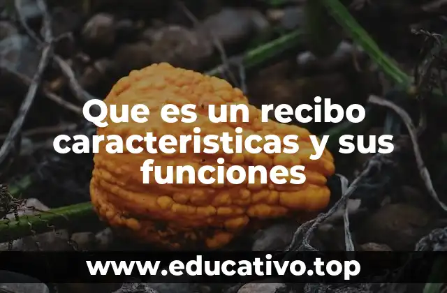 Que es un recibo caracteristicas y sus funciones