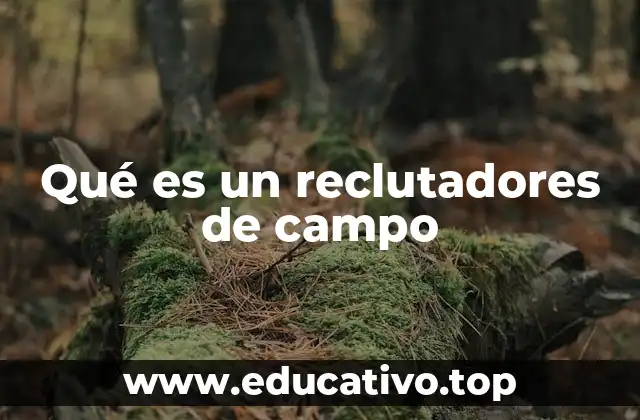 Qué es un reclutadores de campo