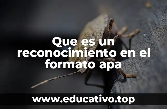 Que es un reconocimiento en el formato apa