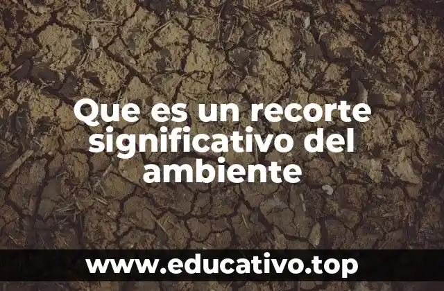 Que es un recorte significativo del ambiente