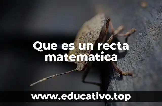 Que es un recta matematica