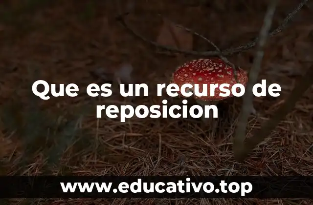 Que es un recurso de reposicion
