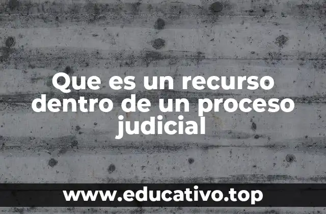 Que es un recurso dentro de un proceso judicial