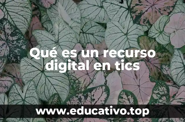 Qué es un recurso digital en tics