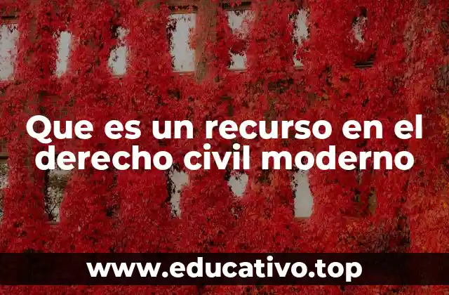 Que es un recurso en el derecho civil moderno