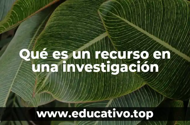 Qué es un recurso en una investigación