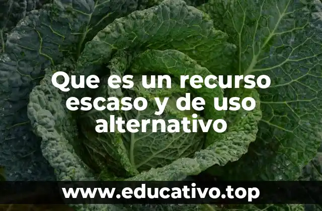 Que es un recurso escaso y de uso alternativo