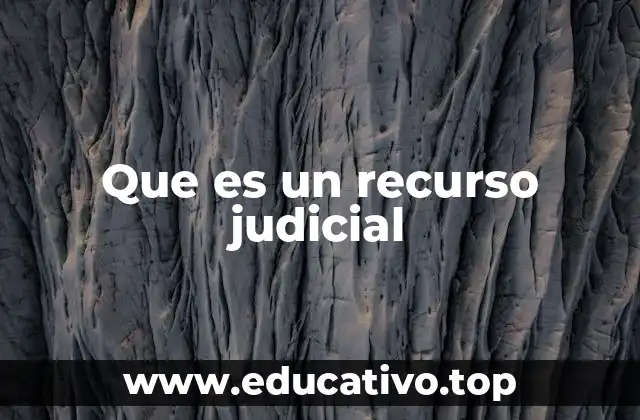 Que es un recurso judicial