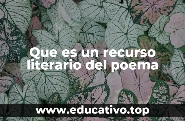 Que es un recurso literario del poema
