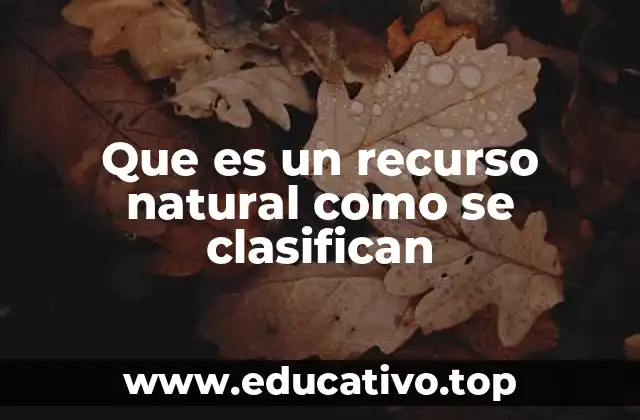 Que es un recurso natural como se clasifican