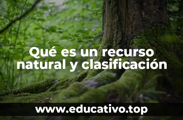Qué es un recurso natural y clasificación