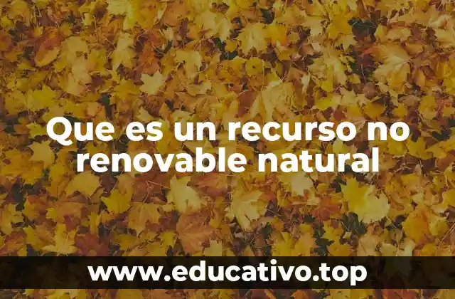Que es un recurso no renovable natural