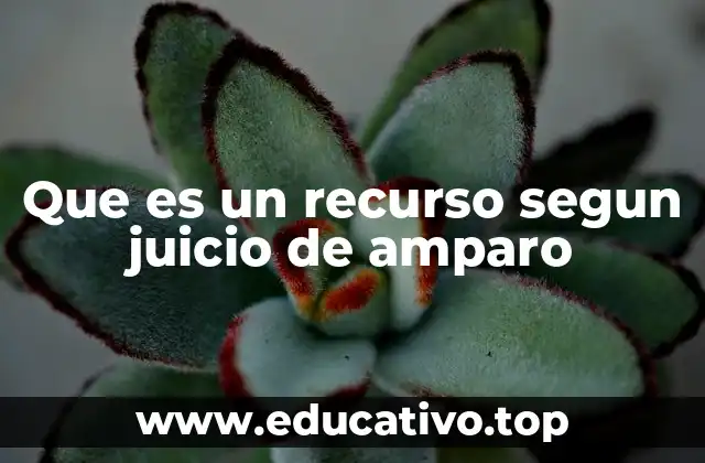 Que es un recurso segun juicio de amparo