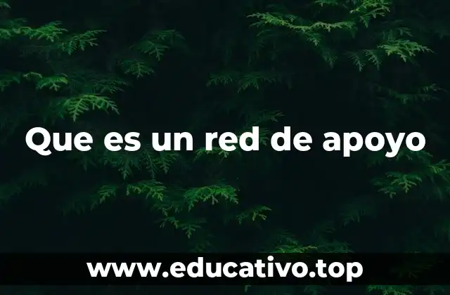 Que es un red de apoyo