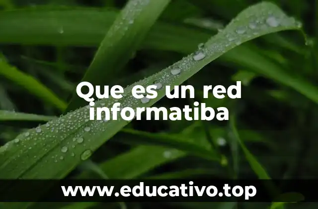 Que es un red informatiba