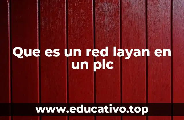 Que es un red layan en un plc