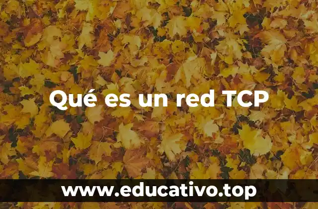 Qué es un red TCP