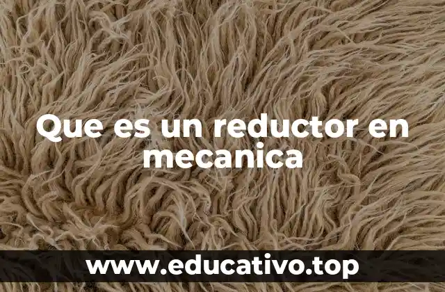 Que es un reductor en mecanica