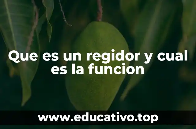 Que es un regidor y cual es la funcion