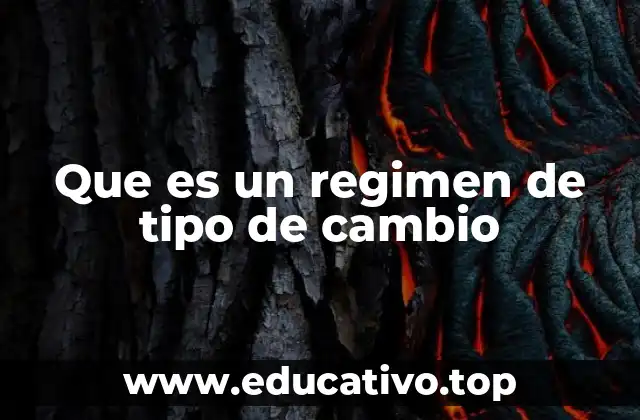 Que es un regimen de tipo de cambio