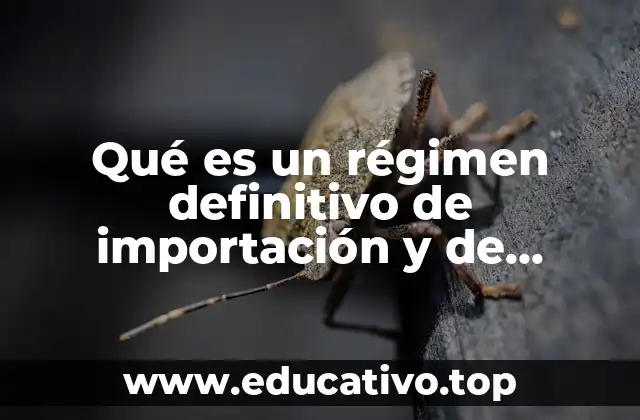 Qué es un régimen definitivo de importación y de exportación