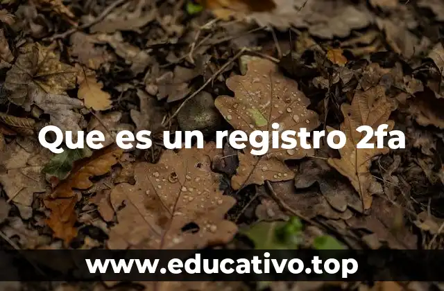 Que es un registro 2fa