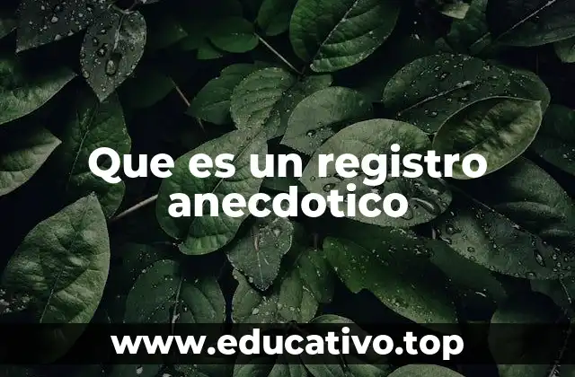 Que es un registro anecdotico