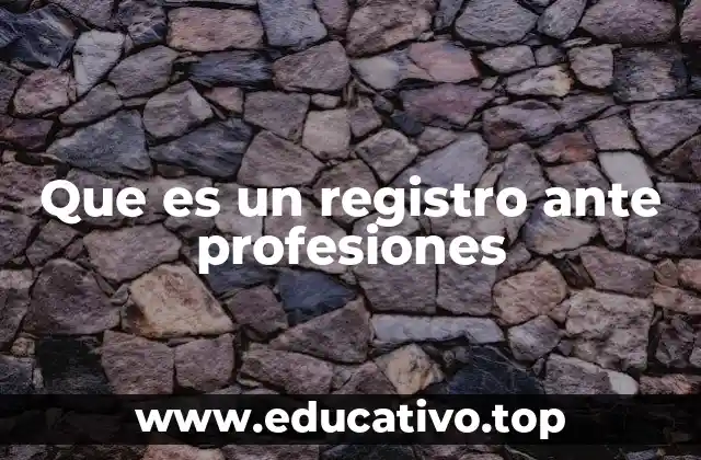 Que es un registro ante profesiones