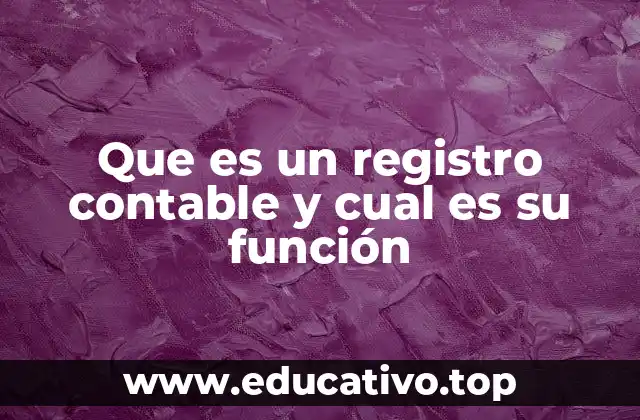 Que es un registro contable y cual es su función