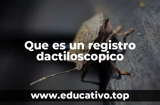 Que es un registro dactiloscopico