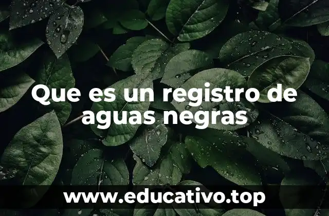 Que es un registro de aguas negras