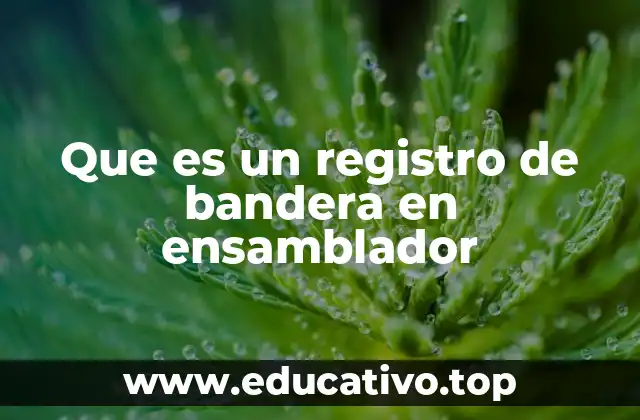 Que es un registro de bandera en ensamblador