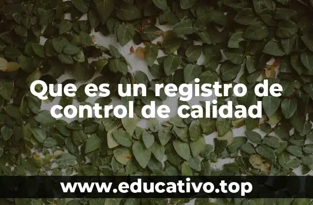 Que es un registro de control de calidad