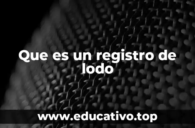 Que es un registro de lodo