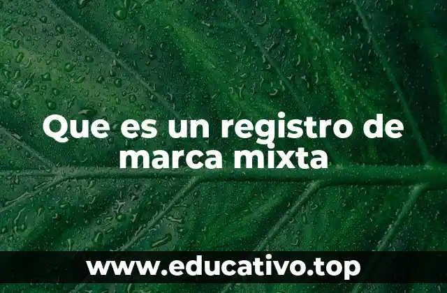 Que es un registro de marca mixta