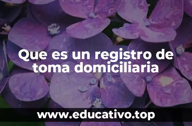 Que es un registro de toma domiciliaria