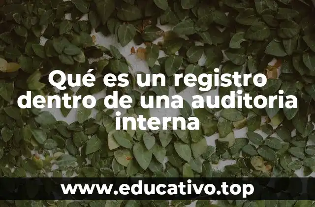 Qué es un registro dentro de una auditoria interna