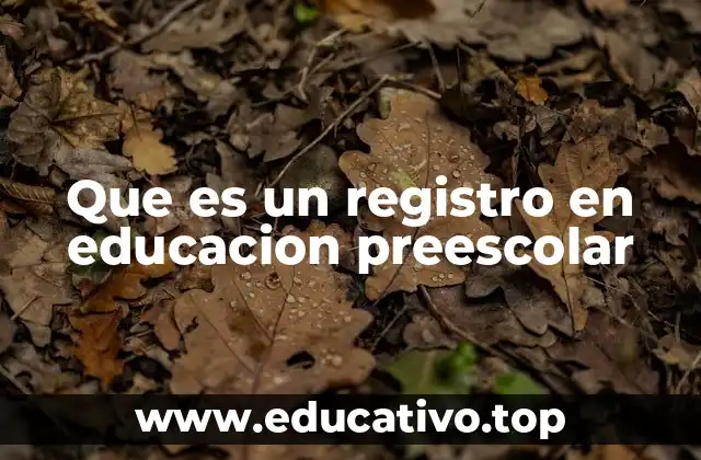 Que es un registro en educacion preescolar