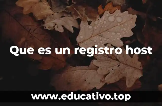 Que es un registro host