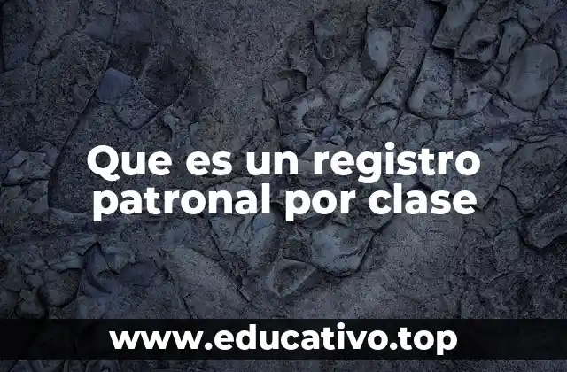 Que es un registro patronal por clase