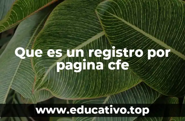 Que es un registro por pagina cfe