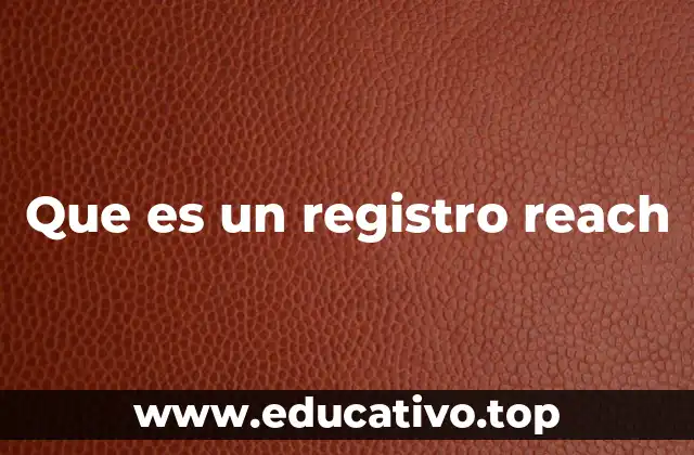 El papel del Registro REACH en la gestión de sustancias químicas