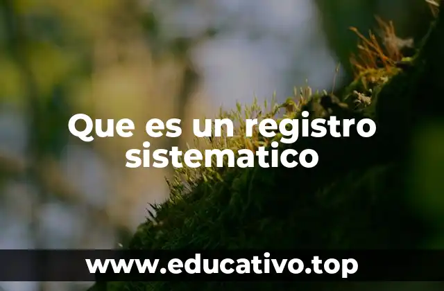 Que es un registro sistematico