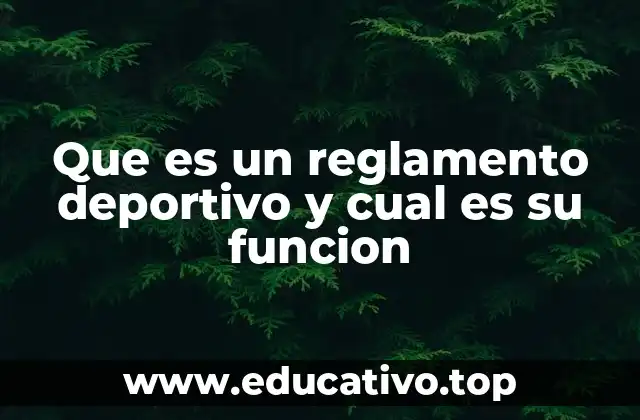 Que es un reglamento deportivo y cual es su funcion