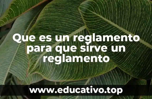 Que es un reglamento para que sirve un reglamento